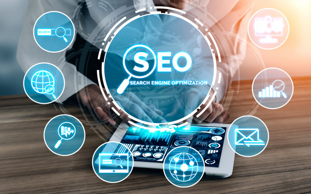 SEO Services of the web geeks